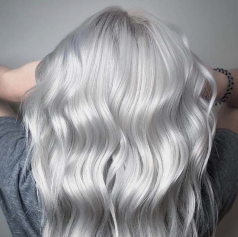 Meet your Posher, Morgan